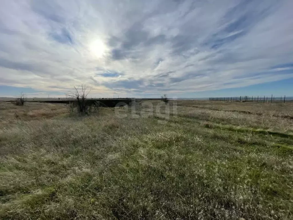 Участок в Крым, Ленинский район, Белинское с/пос, с. Новоотрадное ул. ... - Фото 1