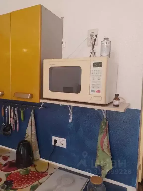 Студия Московская область, Ленинский городской округ, Дрожжино пгт ш. ... - Фото 2