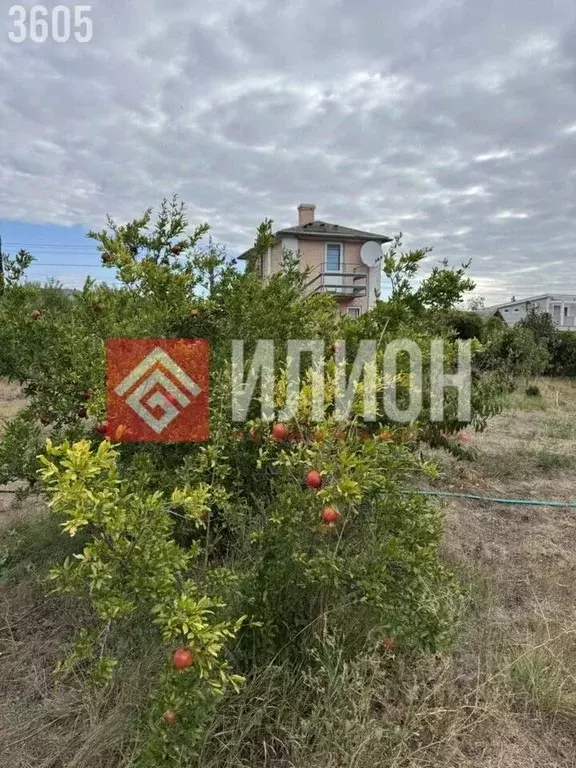 Дом в Крым, Феодосия муниципальный округ, Орджоникидзе пгт, Волна СНТ  ... - Фото 2