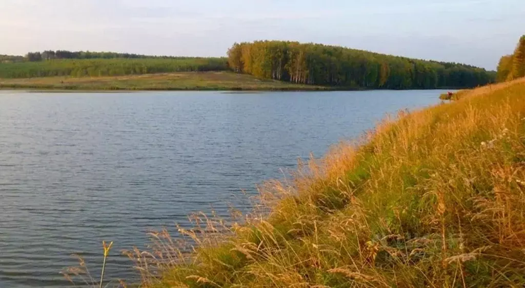 Участок в Нижегородская область, Нижний Новгород д. Малиновка, 56А ... - Фото 2