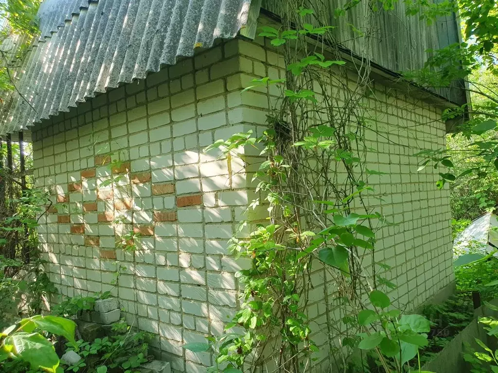 Участок в Ульяновская область, Ульяновск Горизонт СНТ,  (5.2 сот.) - Фото 2