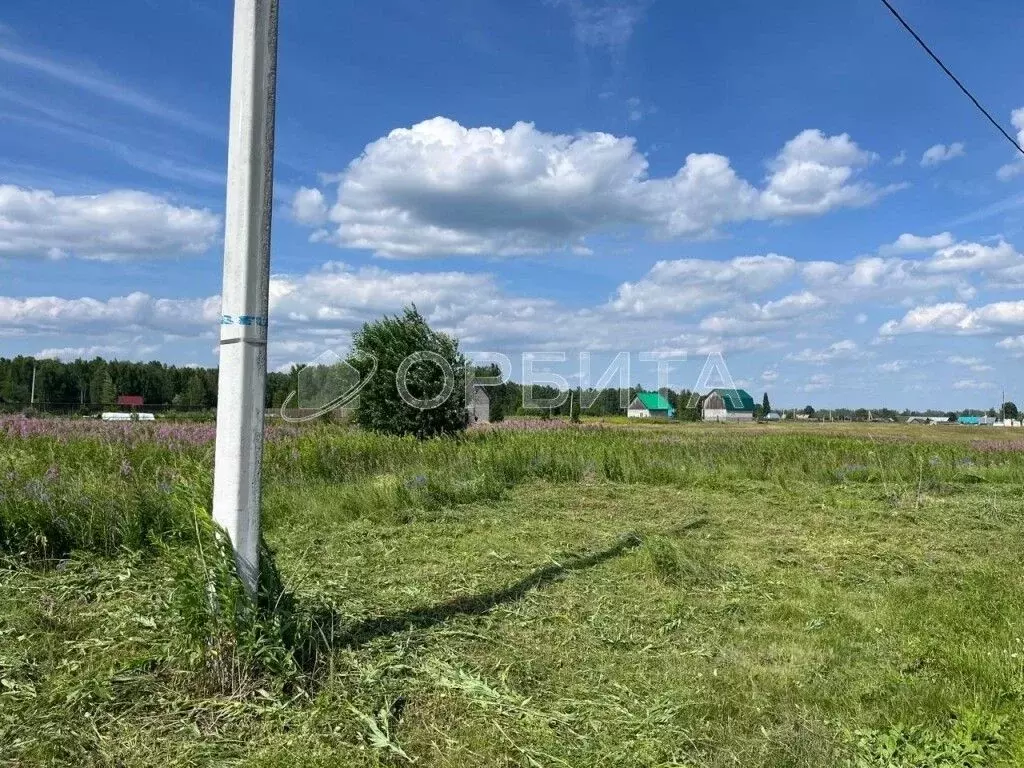 Участок в Тюменская область, Нижнетавдинский муниципальный округ, с. ... - Фото 2
