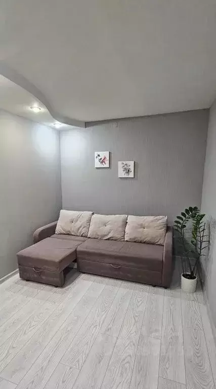 Студия Алтайский край, Барнаул ул. Чеглецова, 72 (30.0 м) - Фото 1