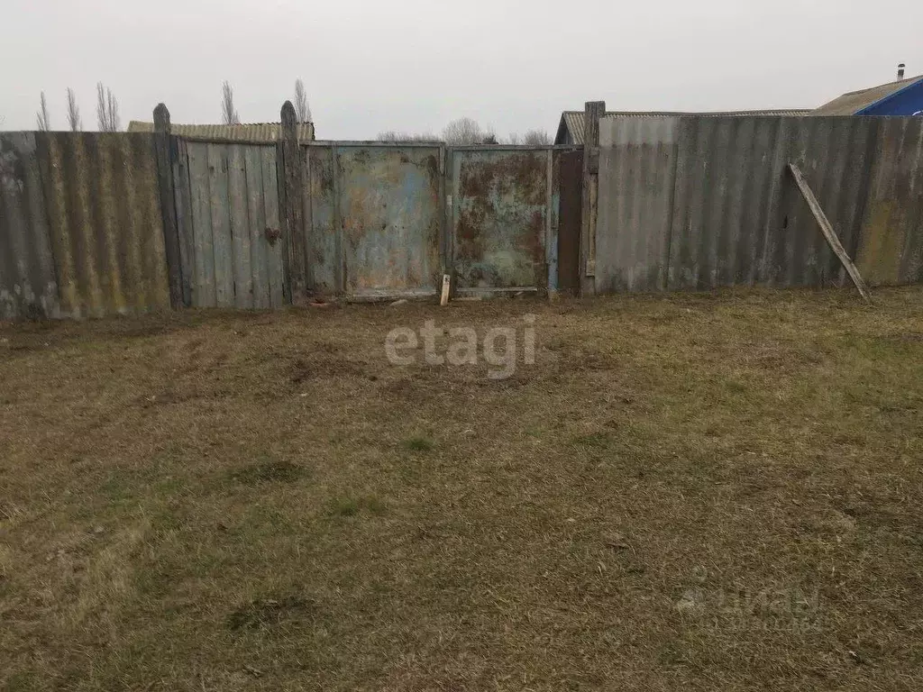 Участок в Белгородская область, Красногвардейский район, ... - Фото 0