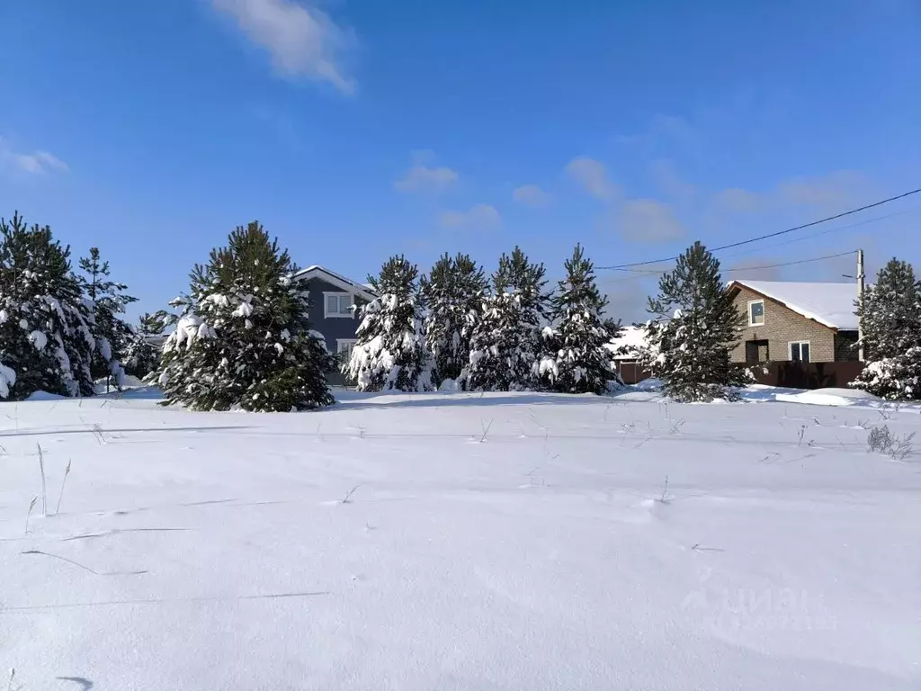 Участок в Московская область, Раменский муниципальный округ, с. Речицы ... - Фото 1