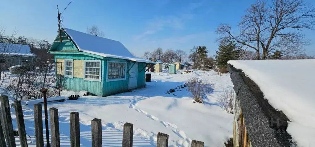 Дом в Приморский край, Арсеньев Нижняя ул. (20 м) - Фото 0