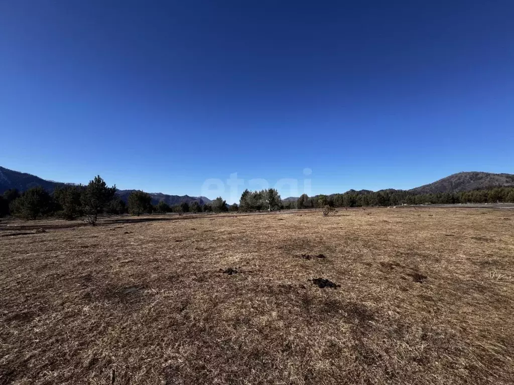 Участок в Алтай, Чемальский район, Элекмонарское с/пос, с. Элекмонар ... - Фото 1