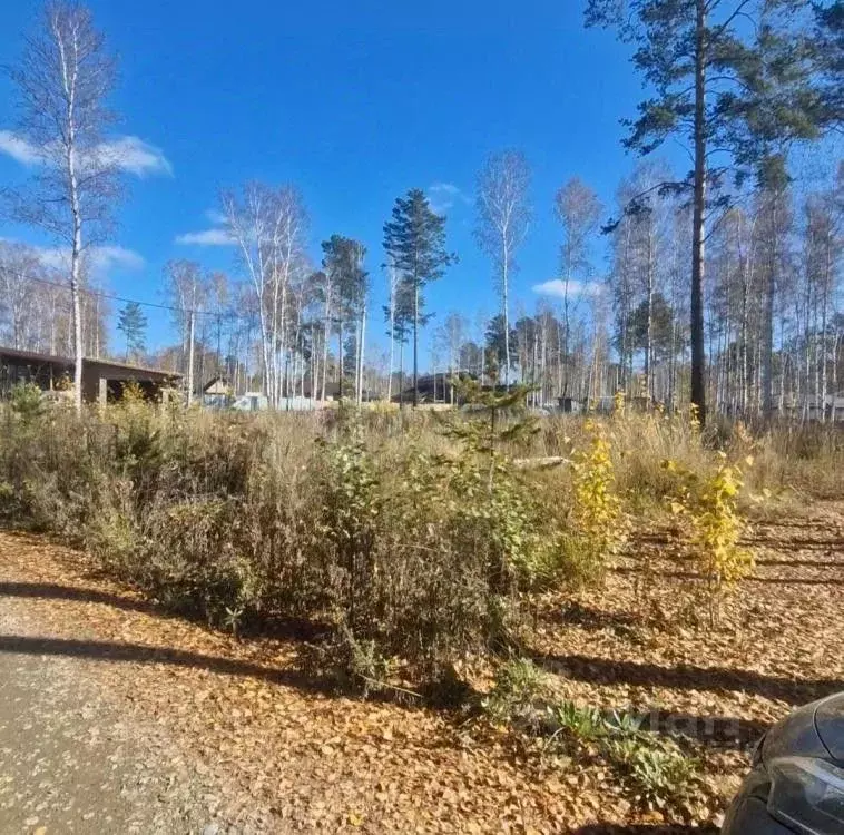 Участок в Иркутская область, Иркутский муниципальный округ, Падь ... - Фото 2