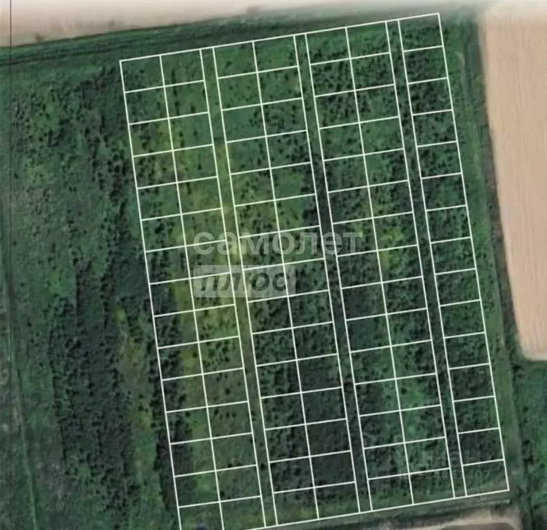 Участок в Сахалинская область, Анивский городской округ, с. ... - Фото 2