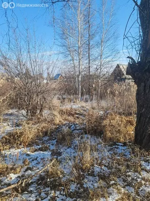 Участок в Комсомольский район, СНТ Восход, Весенняя улица, 16 (8 м) - Фото 1