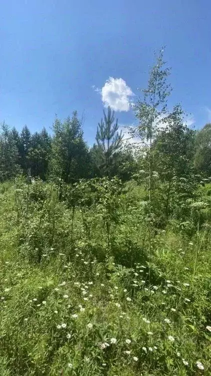 Участок в Иркутская область, Иркутск  (10.0 сот.) - Фото 0