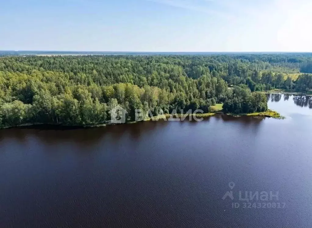 Участок в Ленинградская область, Выборгский район, Полянское с/пос, ... - Фото 1