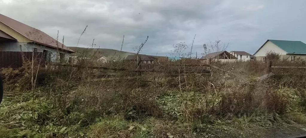 Участок в Алтай, Майминский район, пос. Алферово ул. И.А. Рязанова ... - Фото 2