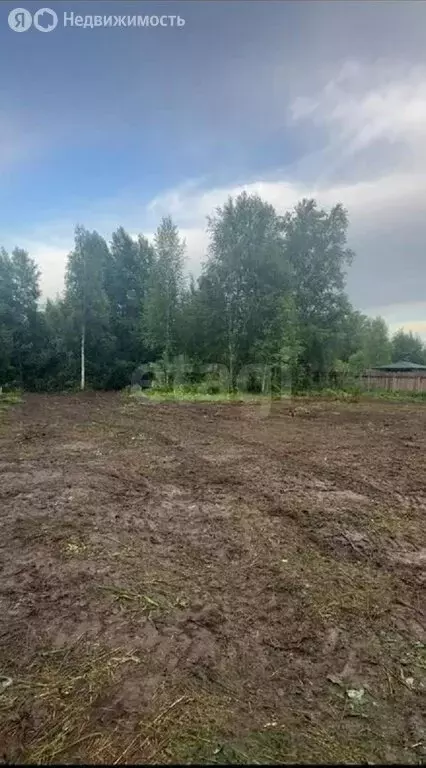 Участок в Кемеровский муниципальный округ, деревня Жургавань, Речная ... - Фото 1