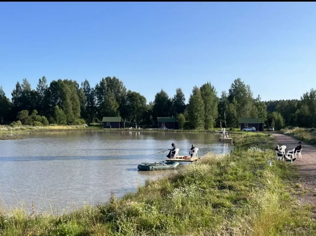 Дом в Ленинградская область, Выборгский район, Советское городское ... - Фото 0