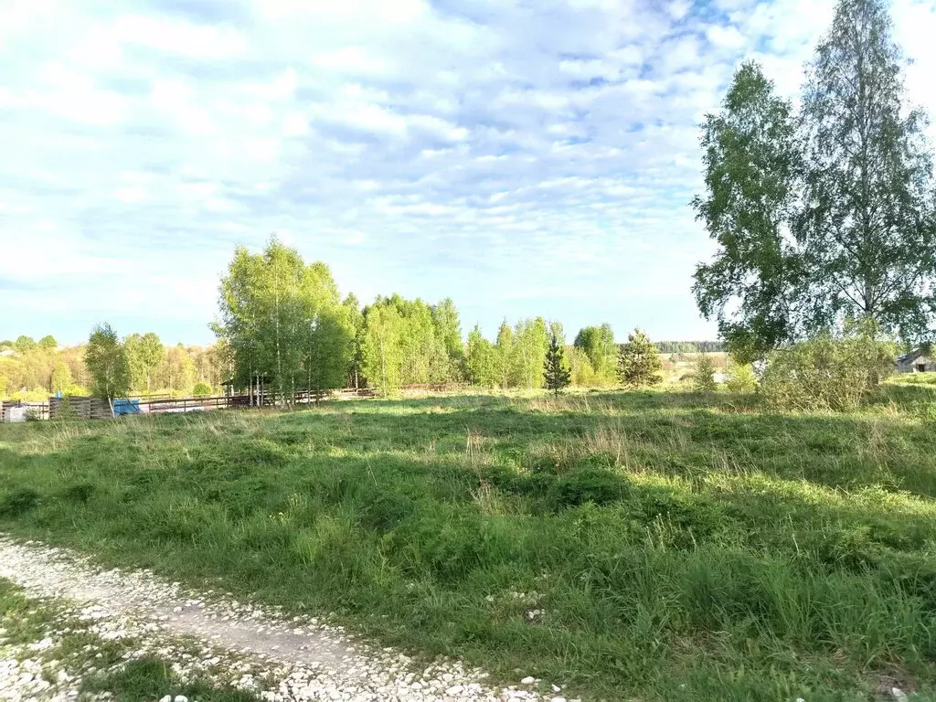 Участок в муниципальное образование Новосельское, село Марьино (25 м) - Фото 0