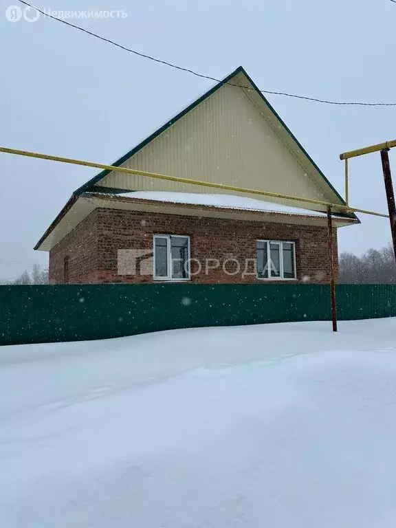 Дом в Новосибирская область, рабочий посёлок Маслянино, Пищевая улица, ... - Фото 1