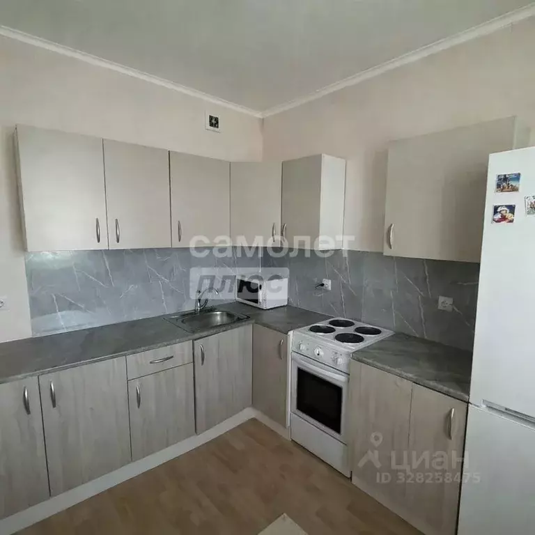 1-к кв. Московская область, Люберцы Красная Горка мкр, ул. Наташинская ... - Фото 1