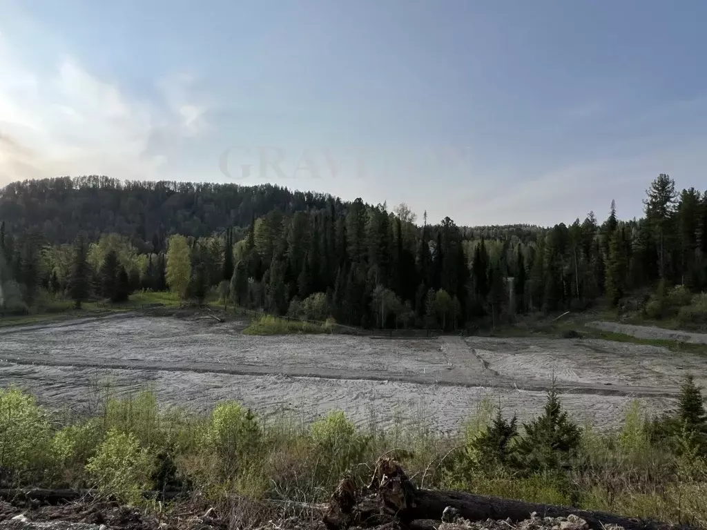 участок в алтай, турочакский район, с. артыбаш (10.0 сот.) - Фото 1