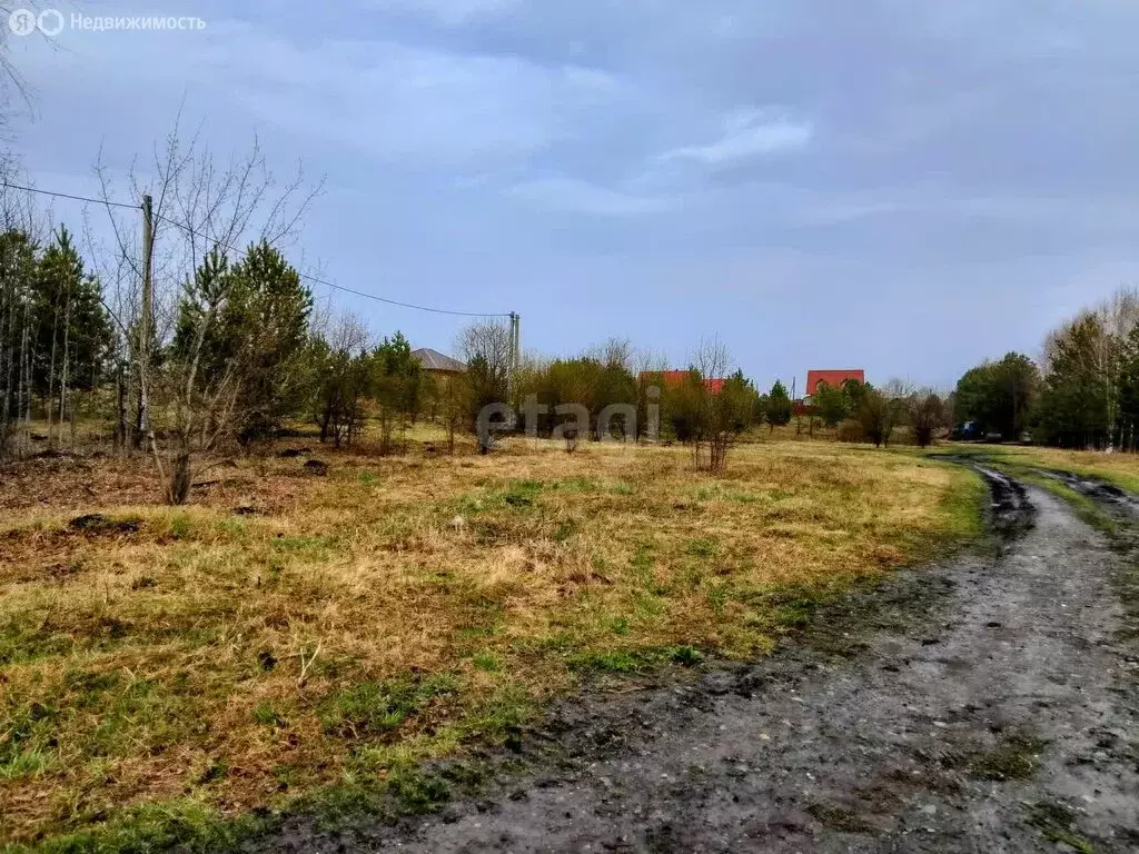 Участок в Свердловская область, Ирбитское муниципальное образование, ... - Фото 1