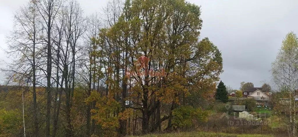 Участок в Владимирская область, Александровский район, Каринское ... - Фото 0