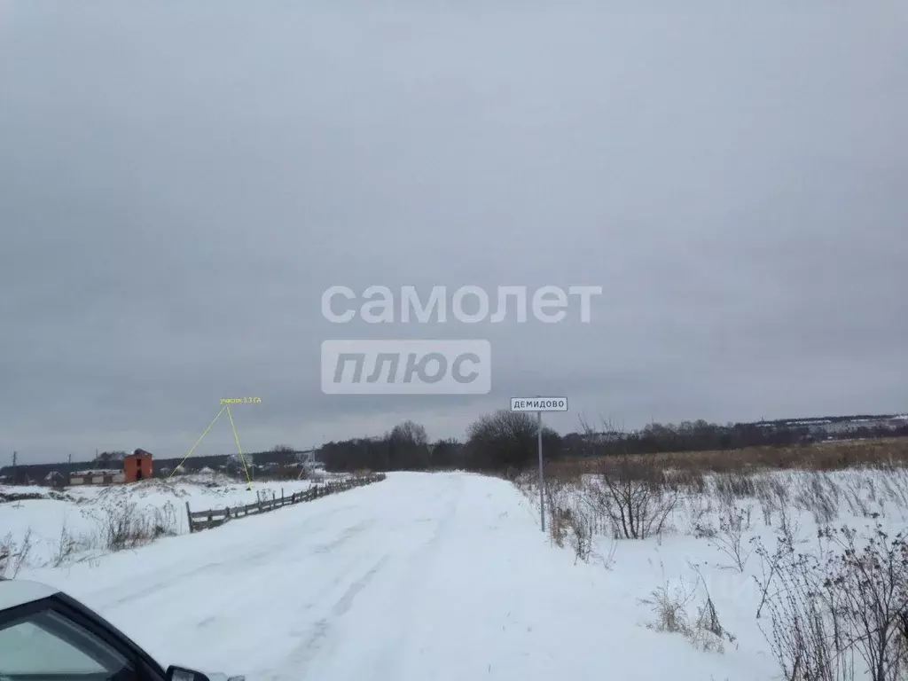 Участок в Нижегородская область, Богородский муниципальный округ, д. ... - Фото 1