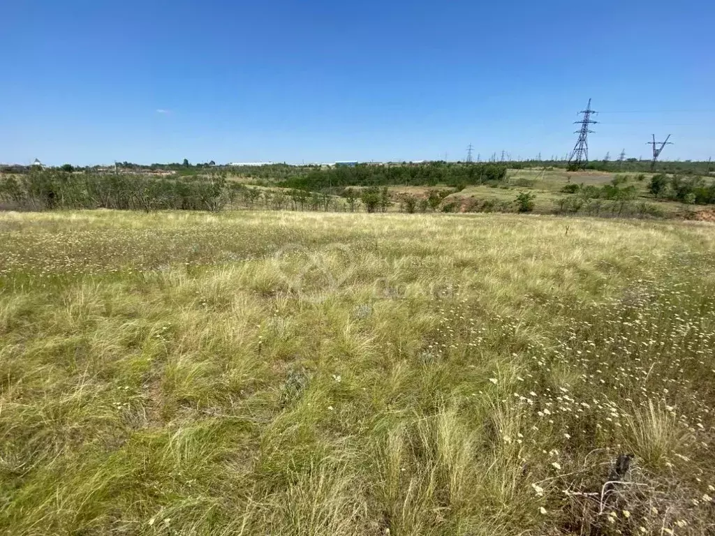 Участок в Волгоградская область, Городищенский район, Царицынское ... - Фото 1