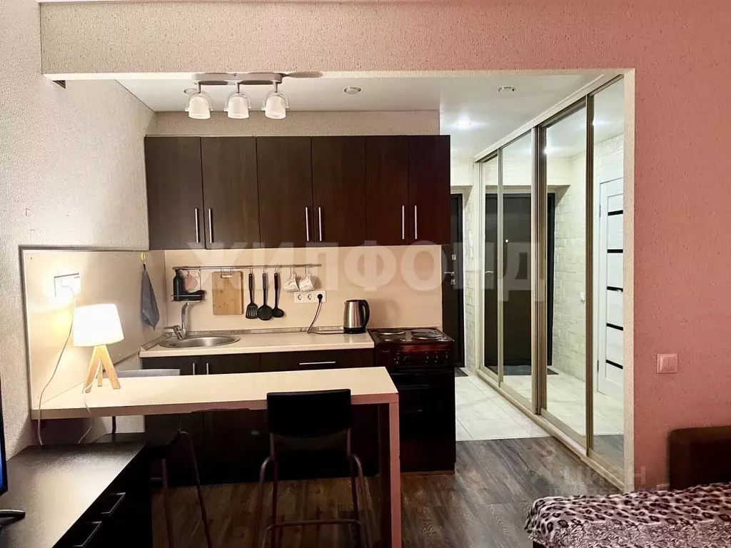 Студия Новосибирская область, Новосибирск Стрижи мкр, 1 (30.0 м) - Фото 2