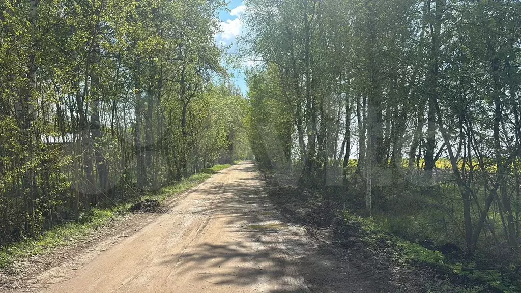 Участок 6 сот. (СНТ, ДНП) - Фото 0