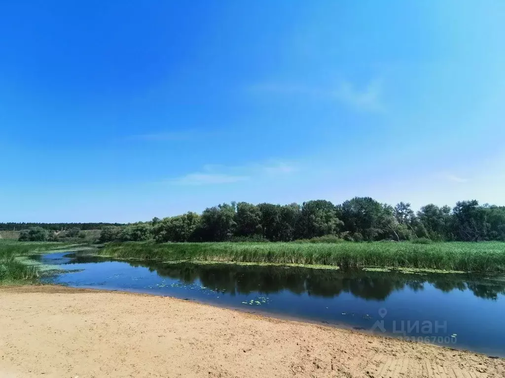 Участок в Саратовская область, Энгельсский район, Красноярское ... - Фото 0