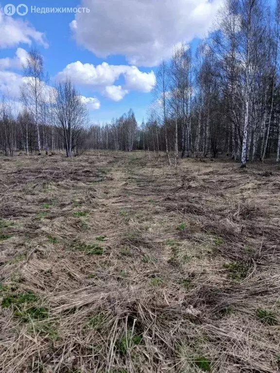 Участок в Нижегородская область, муниципальный округ Чкаловск, деревня ... - Фото 1