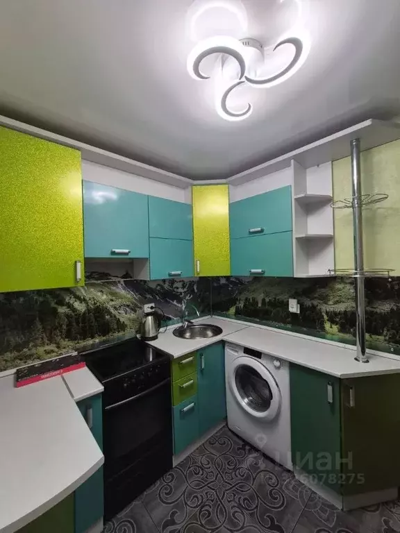 1-к кв. Алтайский край, Барнаул ул. Эмилии Алексеевой, 88 (32.2 м) - Фото 1