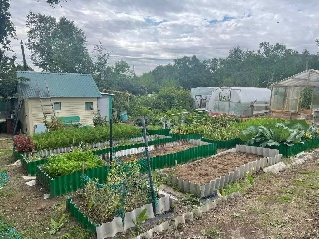 Дом в Камчатский край, Елизовский муниципальный округ, Виктория СНТ  ... - Фото 2