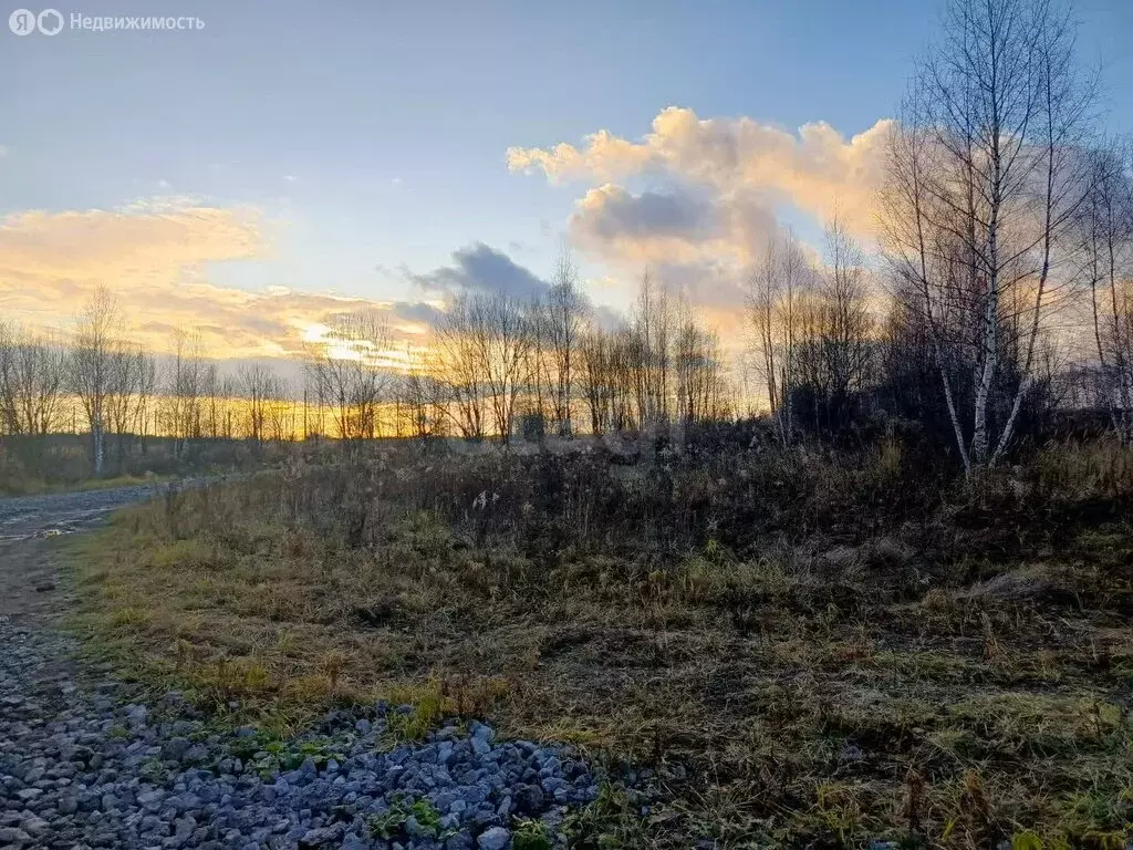 Участок в Тульская область, муниципальное образование Тула, посёлок ... - Фото 0