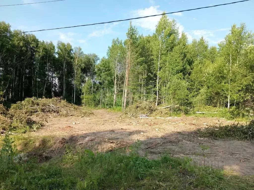 Участок в Тюменская область, с. Нижняя Тавда ул. 70 лет Победы (11.25 ... - Фото 2