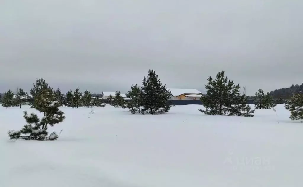 Участок в Московская область, Орехово-Зуевский городской округ, д. ... - Фото 1