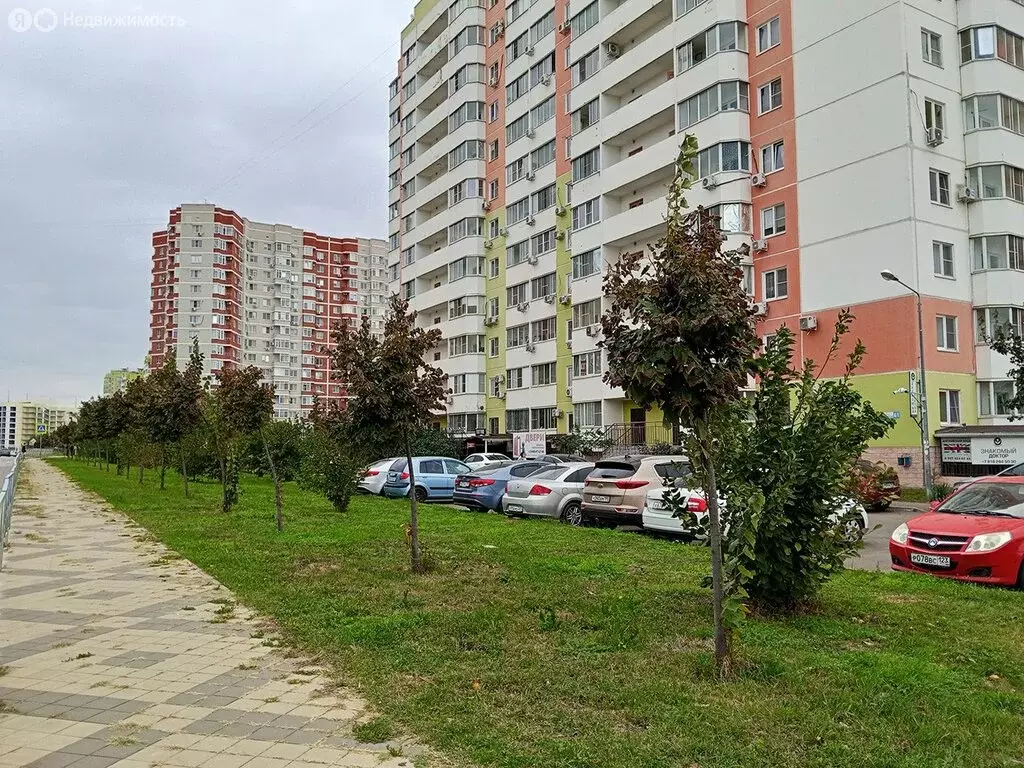 Помещение свободного назначения (30.6 м) - Фото 1
