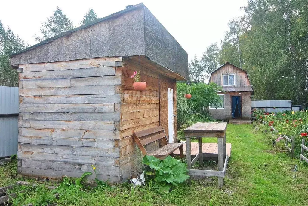 Дом в Новосибирская область, Новосибирский район, Морской сельсовет, ... - Фото 1