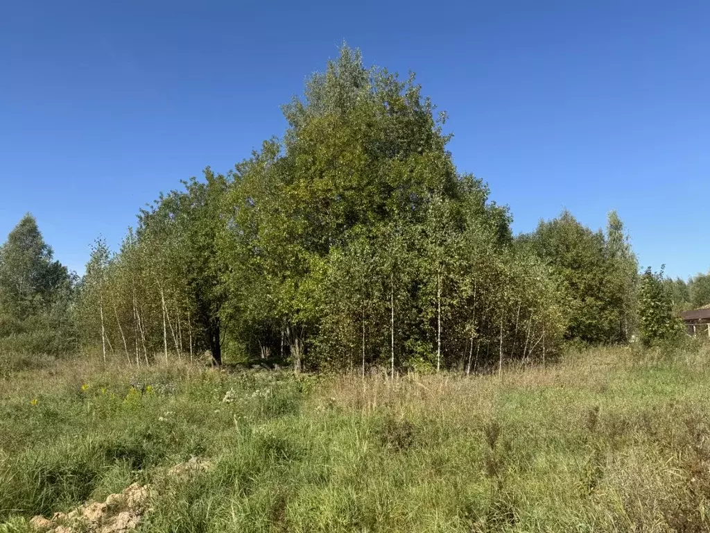 Участок в Московская область, Пушкинский городской округ, Софрино пгт ... - Фото 0