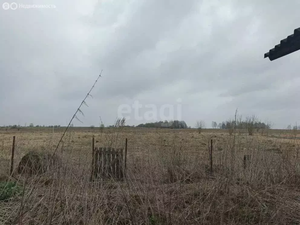 Дом в Щёкинский район, сельское поселение Крапивенское, слобода ... - Фото 1