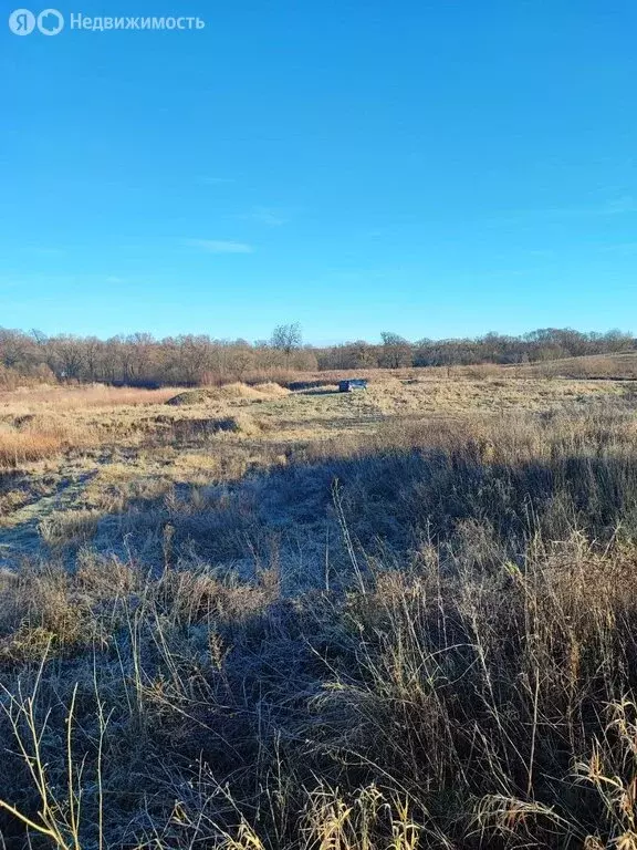 Участок в Гусевский городской округ, посёлок Ольховатка, Новая улица ... - Фото 1