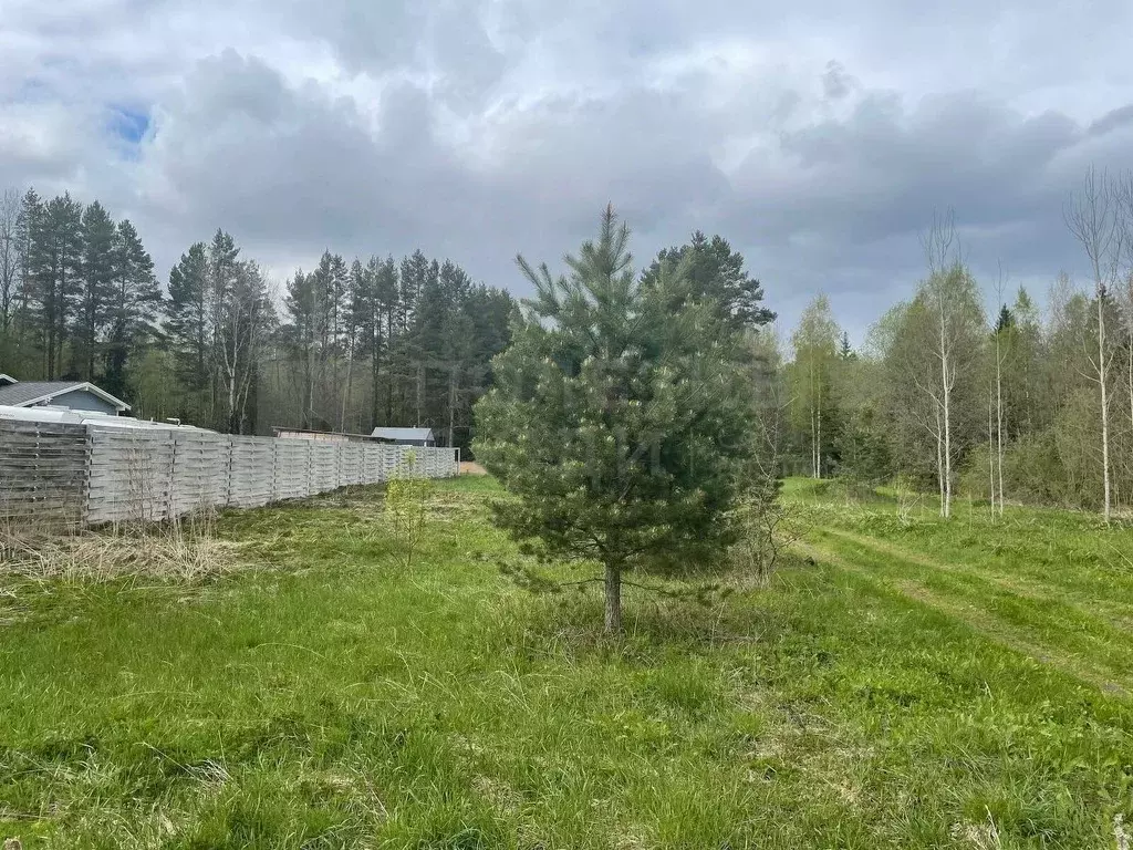 Участок в Новгородская область, Боровичский район, Сушанское с/пос, ... - Фото 1