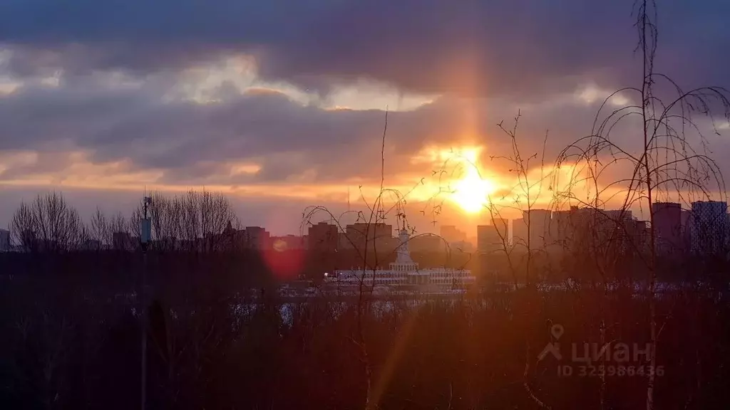 1-к кв. Москва ул. Свободы, 63 (30.0 м) - Фото 2