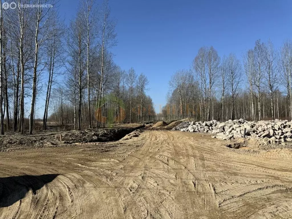 Участок в Павловск (5.51 м) - Фото 1