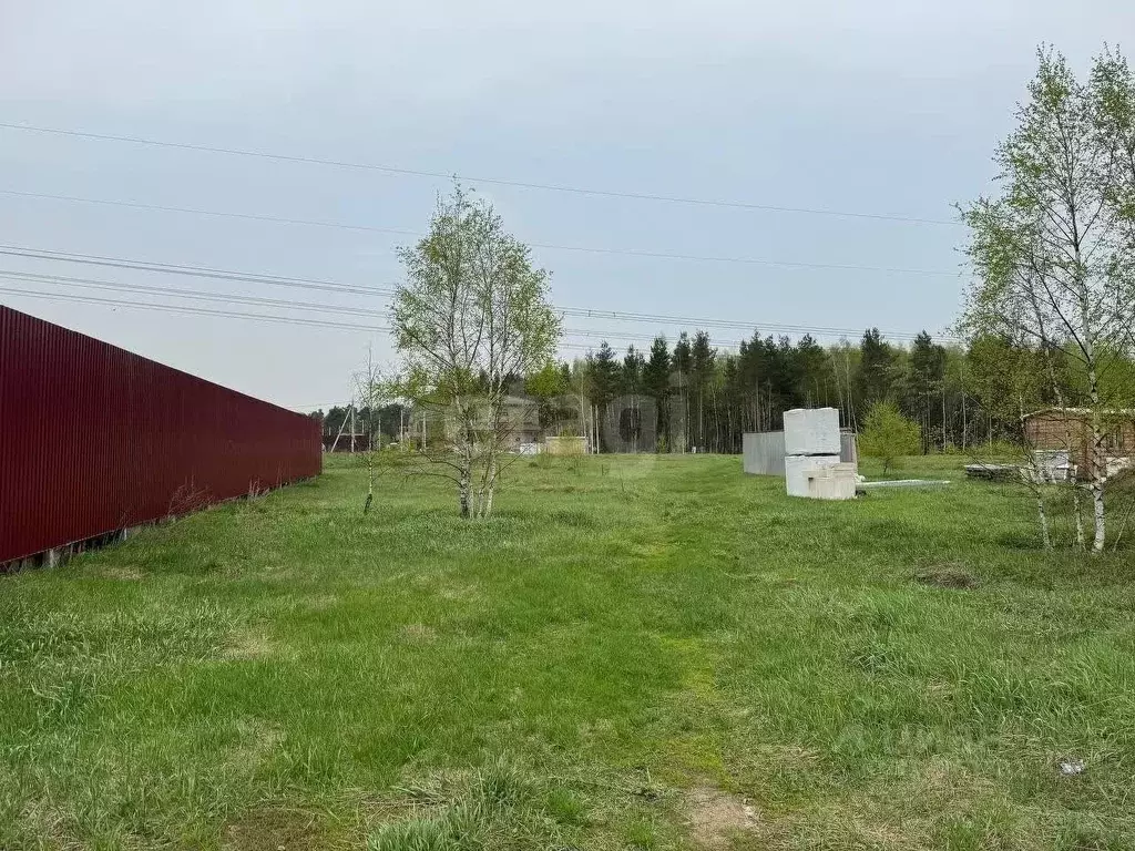 Участок в Московская область, Балашиха городской округ, с. Новый ... - Фото 1