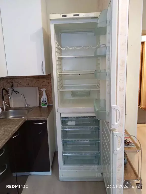 Студия Ленинградская область, Сертолово Всеволожский район, ... - Фото 1