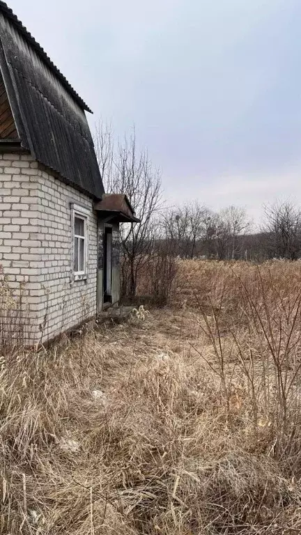 Участок в Приморский край, Михайловский муниципальный округ, с. ... - Фото 0