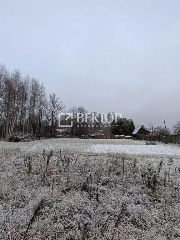 Участок в Костромская область, Костромской район, Кузьмищенское с/пос, ... - Фото 2