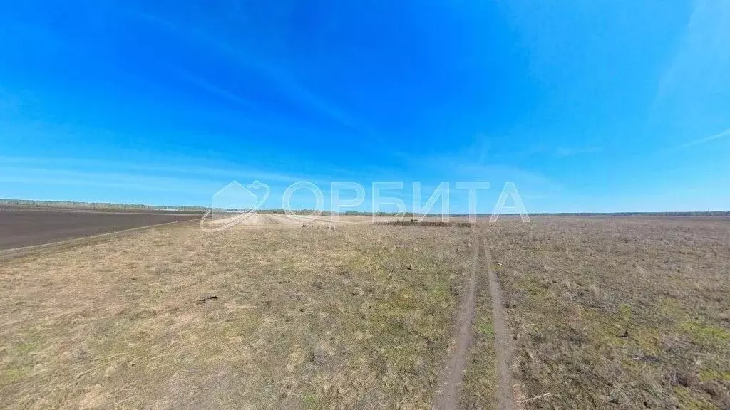 Участок в Тюменская область, Тюменский район, д. Малиновка  (4.4 сот.) - Фото 0