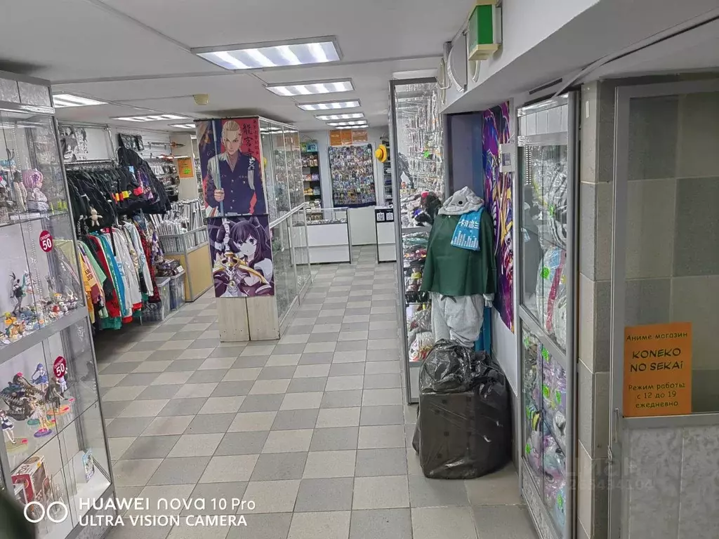 Торговая площадь в Мурманская область, Мурманск просп. Ленина, 67 (61 ... - Фото 2